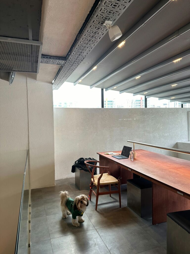 How to Position Your Desk to Reduce Glare
