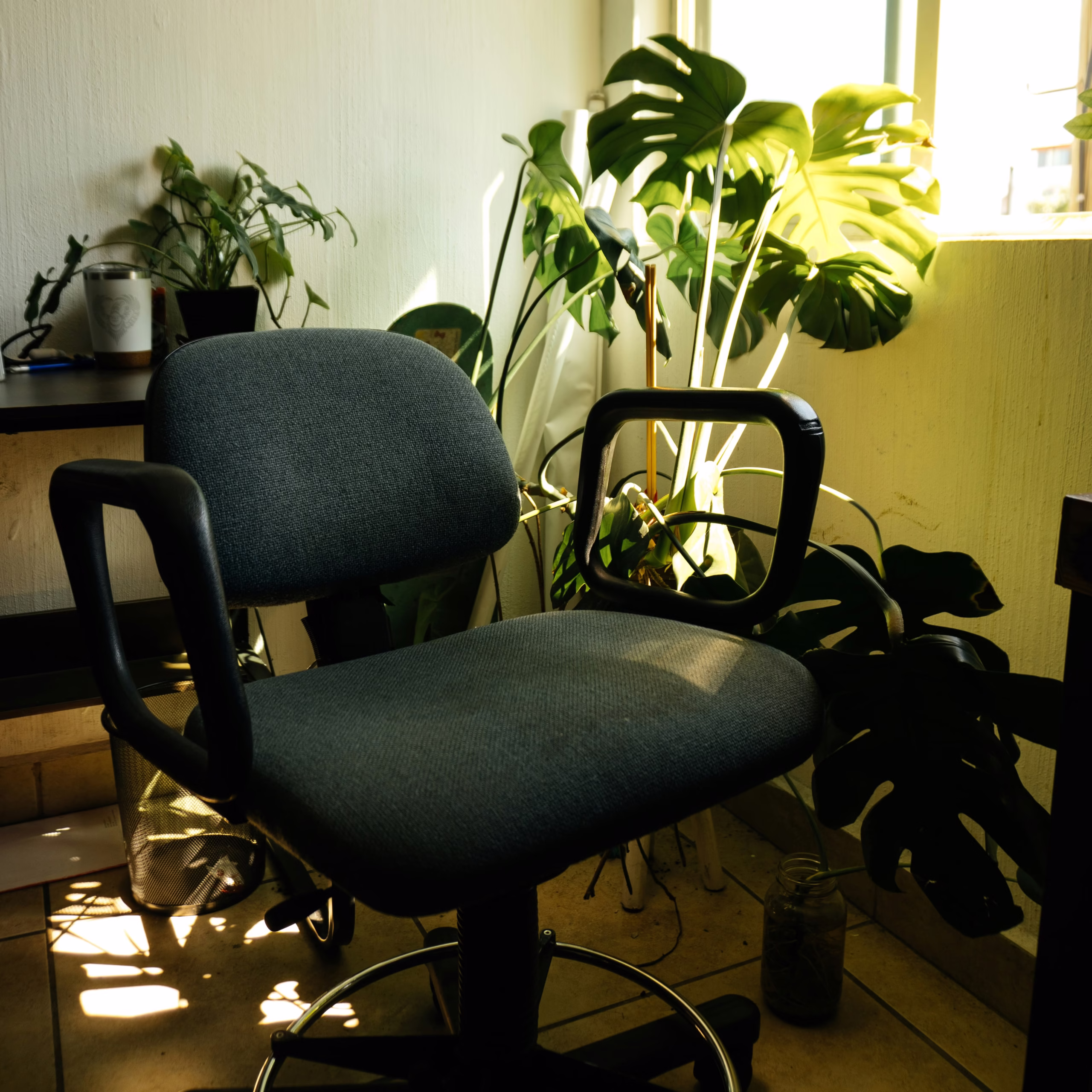 Best Lumbar Support Cushions for Office Chairs